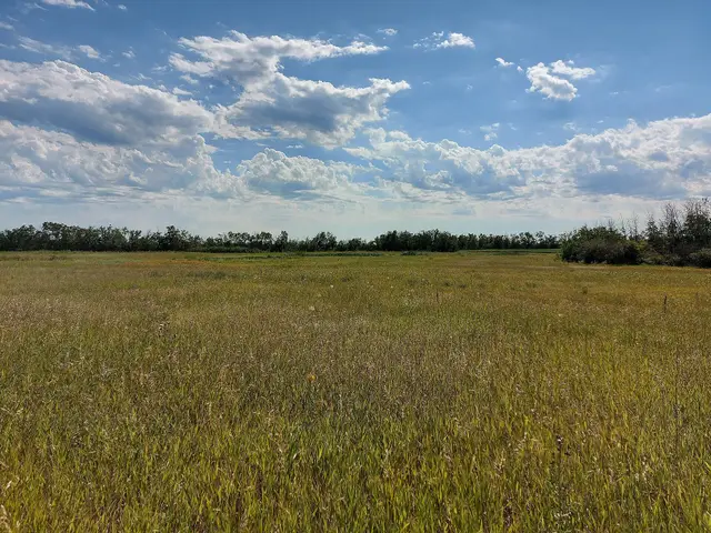 Meadow under a big prairie sky